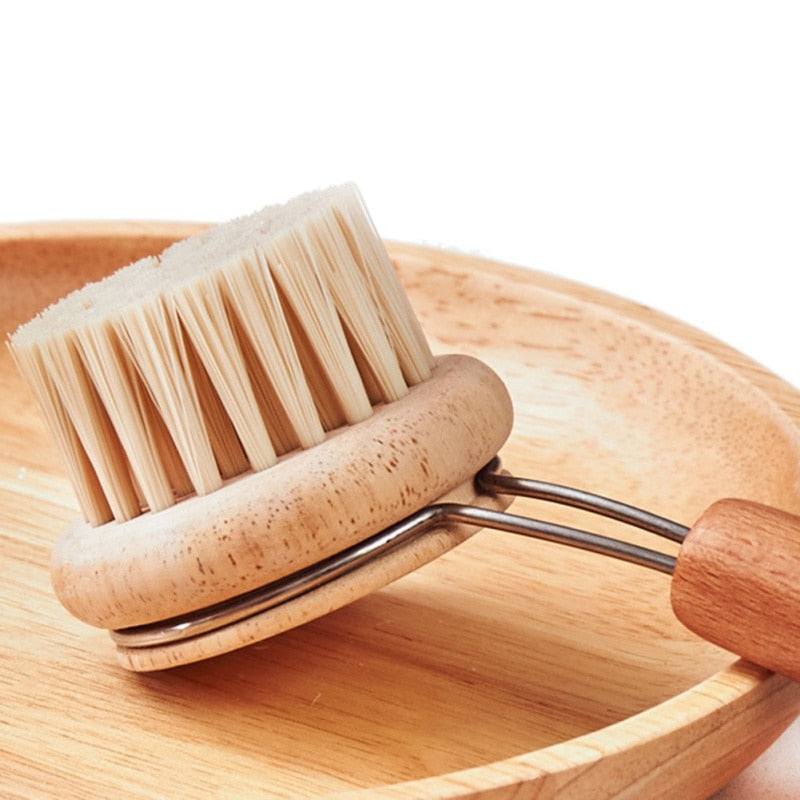 Natural Kitchen Scrub Brush - Gizgizmo